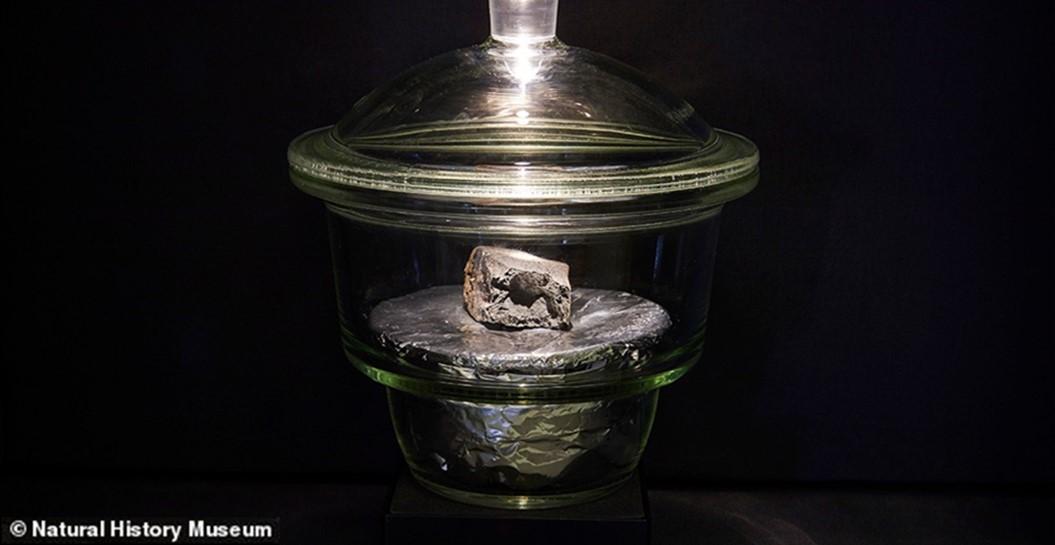 Figure 1: Winchcombe meteorite displayed at the Natural History Museum of London. Photograph from Trustees of the Natural History Museum, London